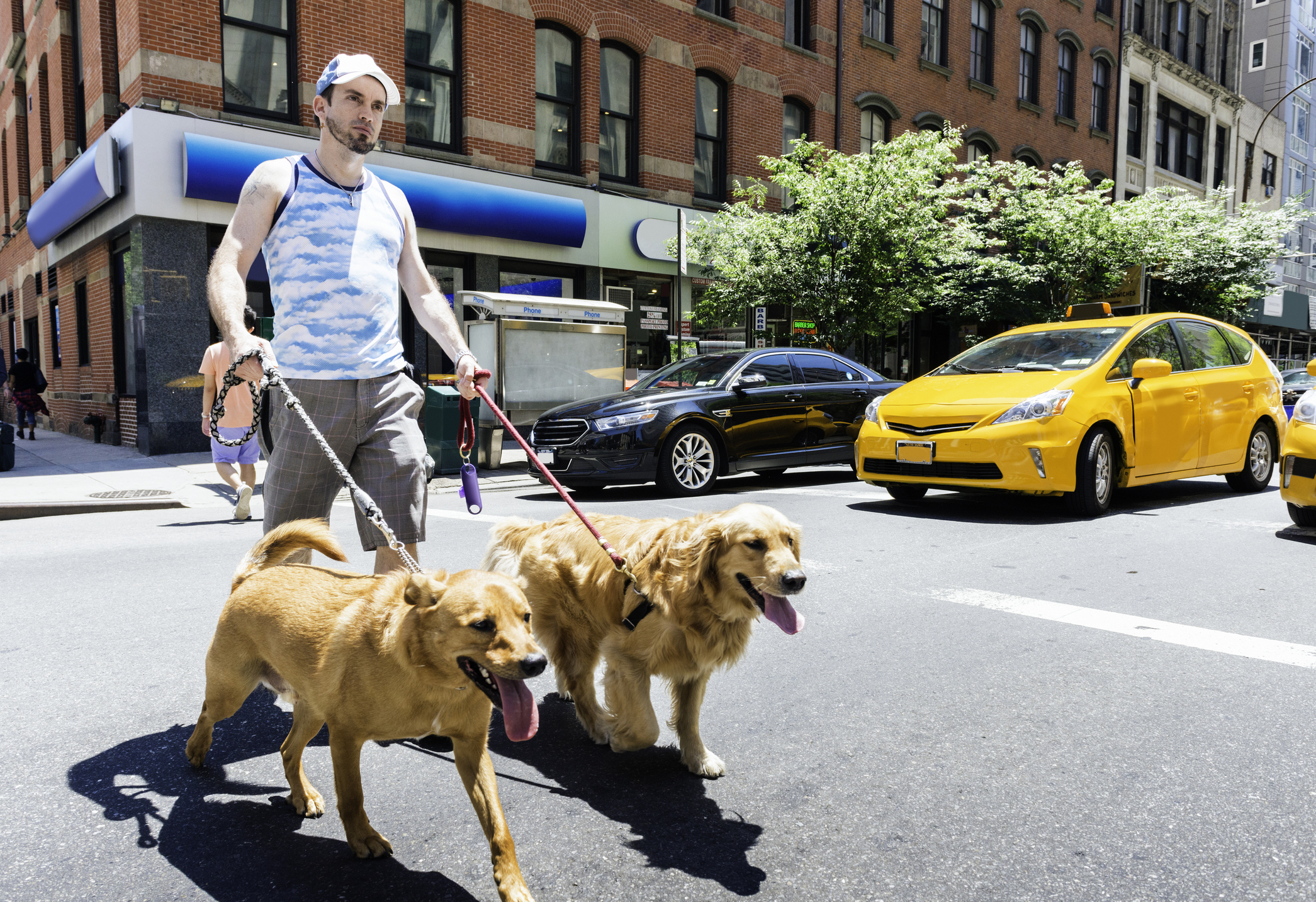 How Much Do Dog Walkers Make Nyc